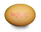 trace your pennine eggs
